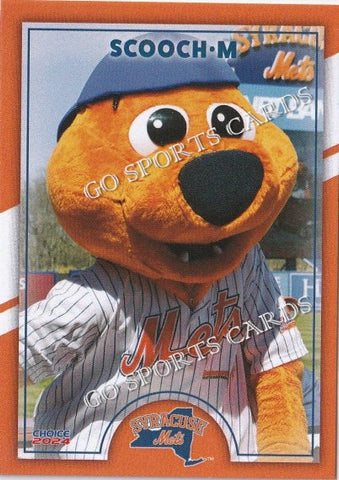 2024 Syracuse Mets Scooch Mascot