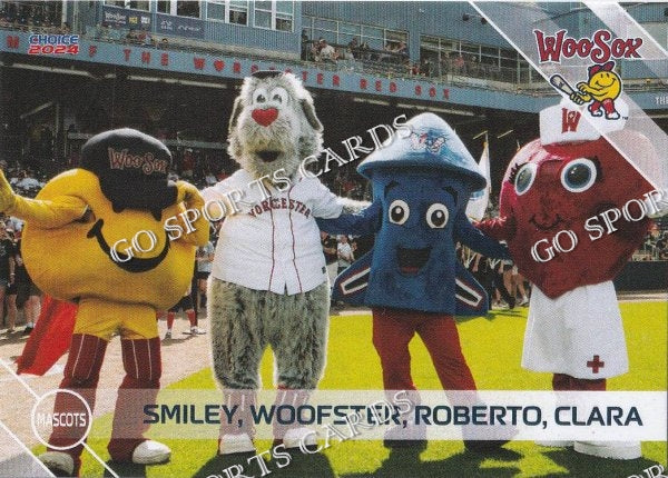 2024 Worcester Red Sox Smiley Woofster Roberto Clara Mascot