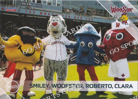 2024 Worcester Red Sox Smiley Woofster Roberto Clara Mascot