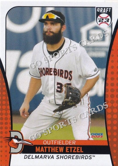 2023 Delmarva Shorebirds Update Matthew Etzel