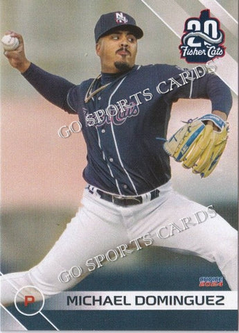 2024 New Hampshire Fisher Cats Michael Dominguez