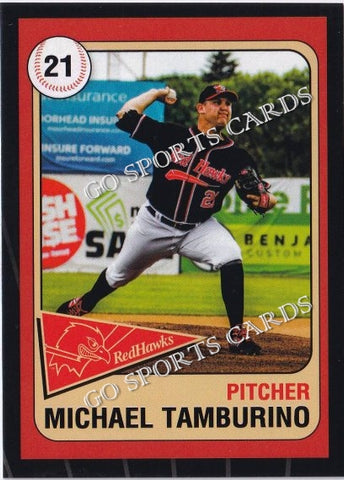 2019 Fargo Moorhead RedHawks Michael Tamburino