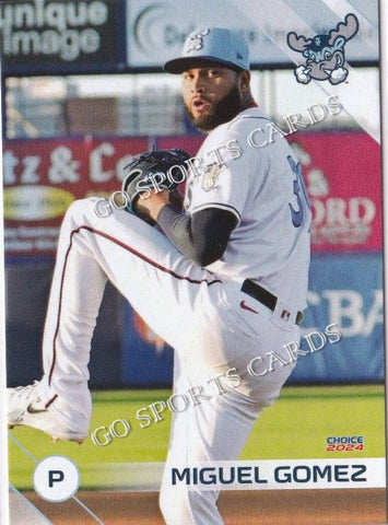 2024 Wilmington Blue Rocks Miguel Gomez