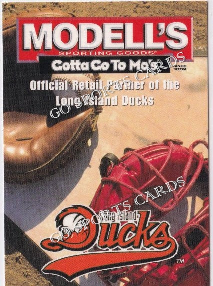 2002 Long Island Ducks Modells Header