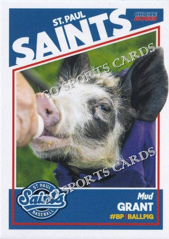 2023 St Paul Saints Mud Grant Pig Mascot