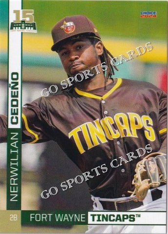 2024 Fort Wayne TinCaps Nerwilian Cedeno