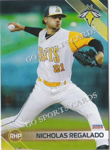 2024 Columbia Fireflies Nicholas Regalado