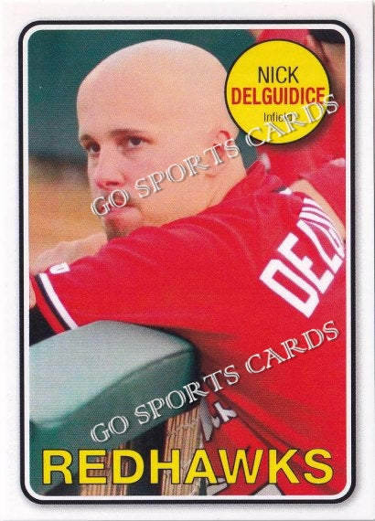 2013 Fargo Moorhead RedHawks Nick DelGuidice
