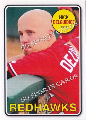 2013 Fargo Moorhead RedHawks Nick DelGuidice
