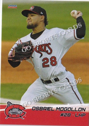 2024 Carolina Mud Cats Osbriel Mogollon
