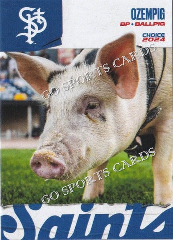 2024 St Paul Saints Ozempig Pig Mascot