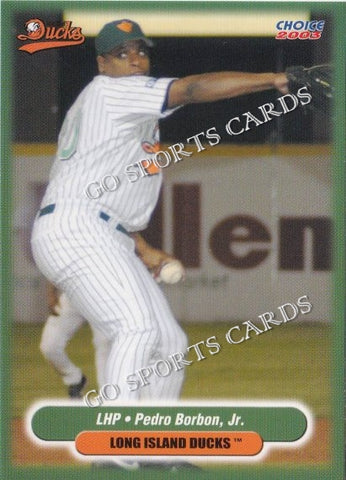 2003 Long Island Ducks Pedro Borbon Jr