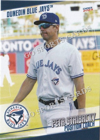 2024 Dunedin Blue Jays Petr Stribacky