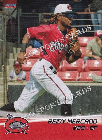 2024 Carolina MudCats Reidy Mercado