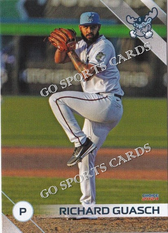 2024 Wilmington Blue Rocks Richard Guasch