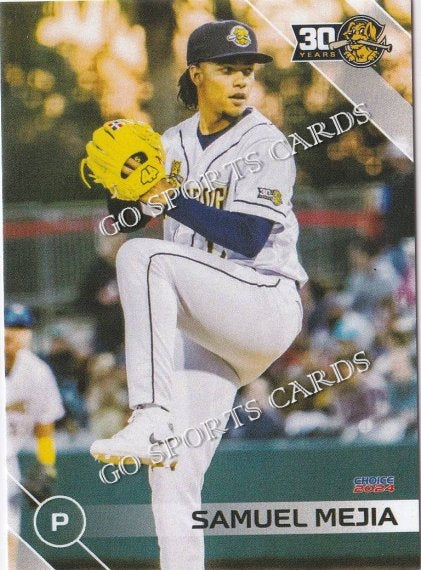 2024 Charleston RiverDogs Samuel Mejia