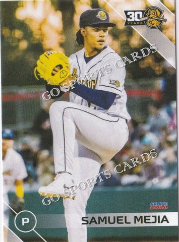 2024 Charleston RiverDogs Samuel Mejia