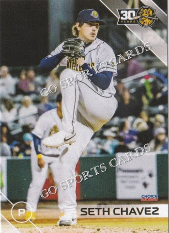 2024 Charleston RiverDogs Seth Chavez