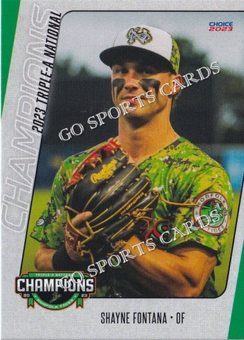 2023 Norfolk Tides Champions Shayne Fontana
