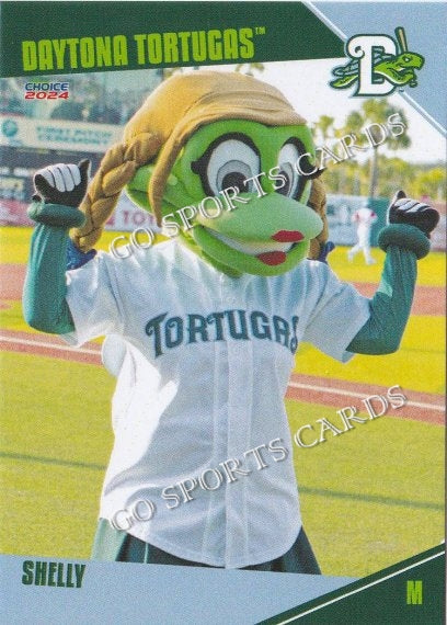 2024 Daytona Tortugas Shelly Mascot