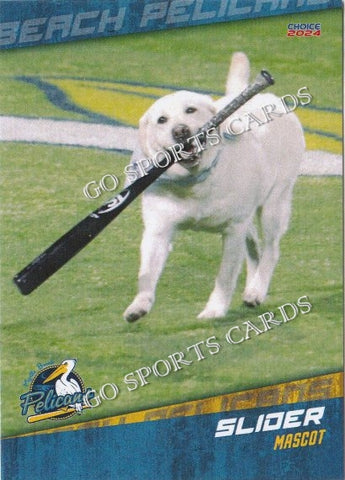 2024 Myrtle Beach Pelicans Slider Mascot