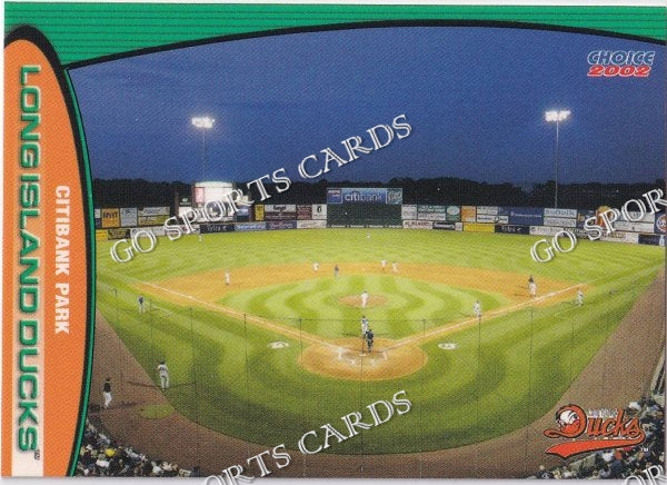2002 Long Island Ducks Citibank Park