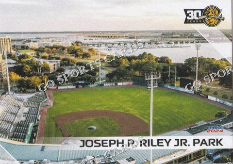 2024 Charleston RiverDogs Joseph P Riley Jr Park The Joe