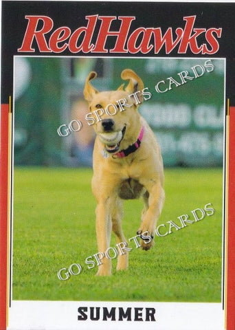 2023 Fargo Moorhead RedHawks Summer Dog