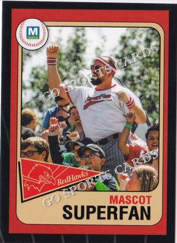2019 Fargo Moorhead RedHawks Super Fan Mascot