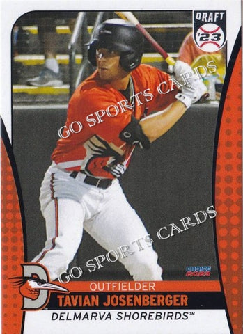 2023 Delmarva Shorebirds Update Tavian Josenberger