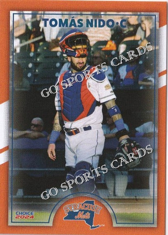 2024 Syracuse Mets Tomas Nido