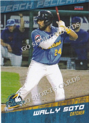 2024 Myrtle Beach Pelicans Wally Soto