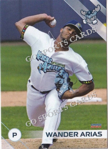 2024 Wilmington Blue Rocks Wander Arias