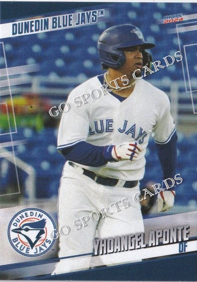 2024 Dunedin Blue Jays Yhoangel Aponte