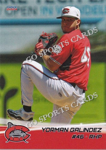 2024 Carolina Mud Cats Yorman Galindez
