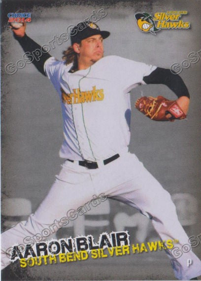 2014 South Bends Silver Hawks Aaron Blair