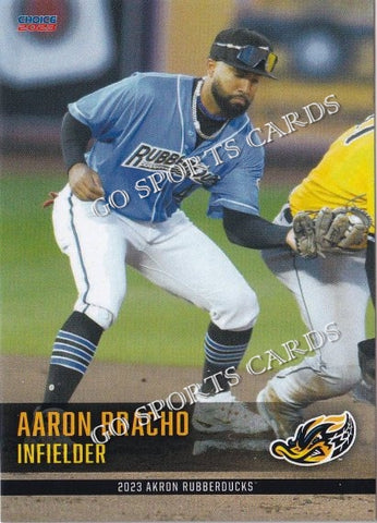 2023 Akron Rubberducks Aaron Bracho