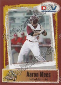 2011 Wisconsin Rapids Rafters DAV Aaron Mees