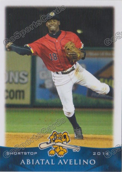 2014 Charleston Riverdogs Abiatal Avelino