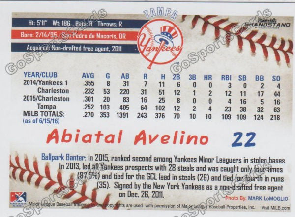 2016 Tampa Yankees Abiatal Avelino Back of Card