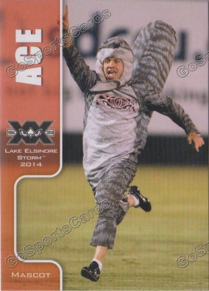 2014 Lake Elsinore Storm Ace Mascot