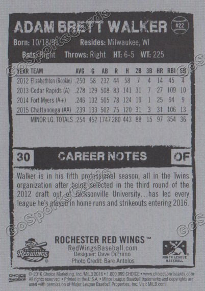 2016 Rochester Red Wings Adam Brett Walker Back of Card