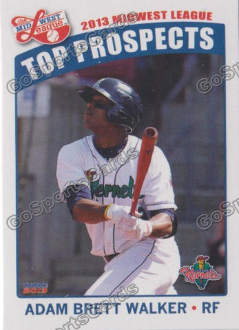 2013 MidWest League Top Prospect Adam Brett Walker II