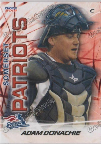 2014 Somerset Patriots Adam Donachie