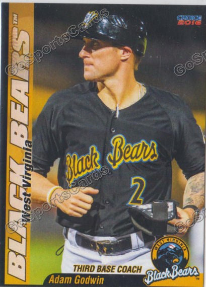 2016 West Virginia Black Bears Adam Goodwin ERROR