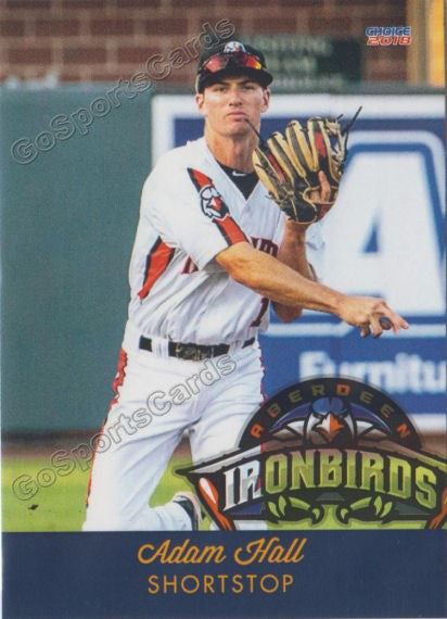 2018 Aberdeen Ironbirds Adam Hall