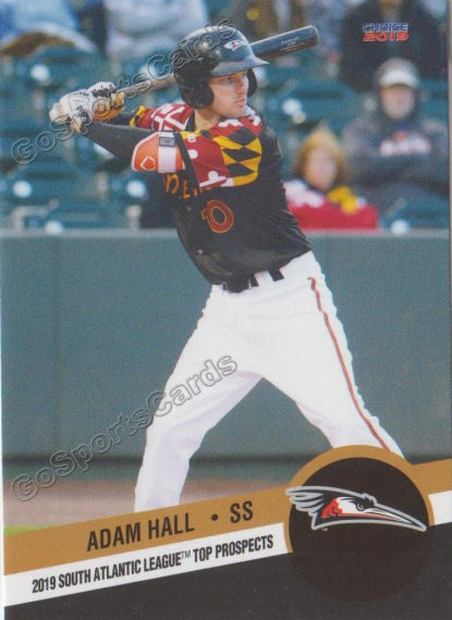 2019 South Atlantic League Top Prospects Adam Hall