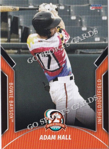 2022 Bowie Baysox Adam Hall