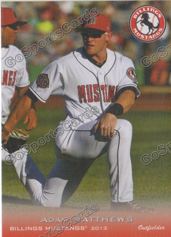 2013 Billings Mustangs Adam Matthews
