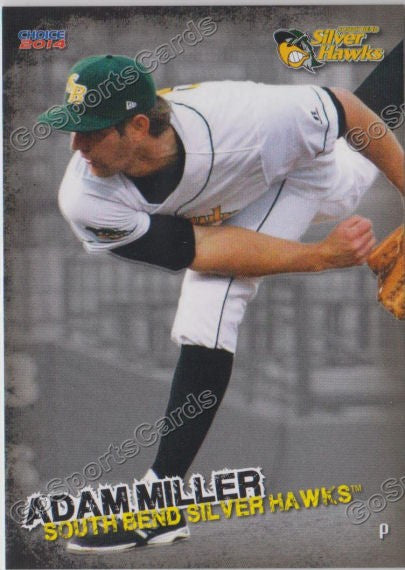 2014 South Bends Silver Hawks Adam Miller